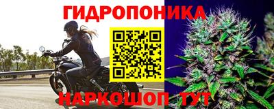 трава Апшеронск