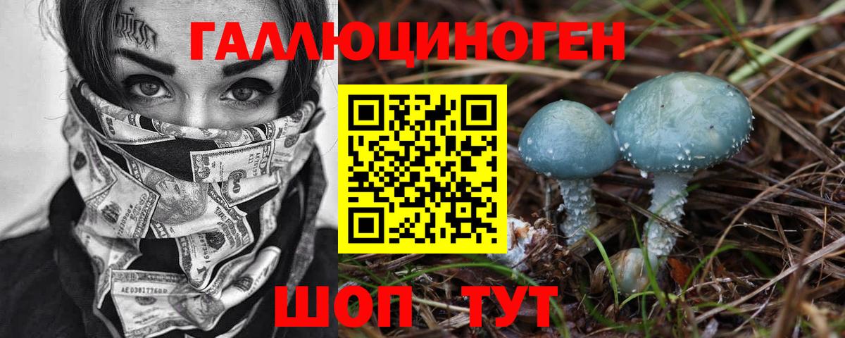 купить   Вход с VPN  Выборг  Псилоцибиновые грибы ЛСД 