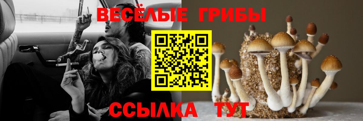 АМФЕТАМИН Выборг